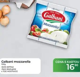 Tamda Foods Galbani Mozzarella nabídka