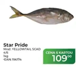 Tamda Foods Star Pride nabídka