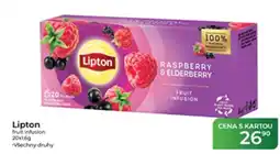 Tamda Foods Lipton fruit infusion nabídka