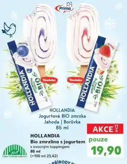 Kaufland HOLLANDIA Bio zmrzlina s jogurtem nabídka