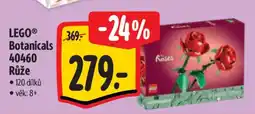 Albert LEGO Botanicals 40460 Růže nabídka