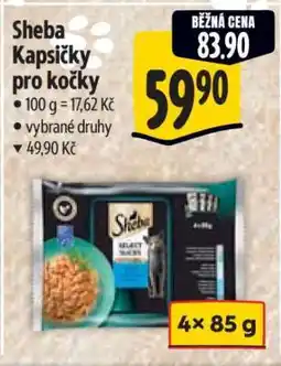 Albert Sheba kapsičky pro kočky nabídka