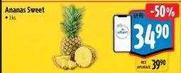 Albert Ananas sweet nabídka