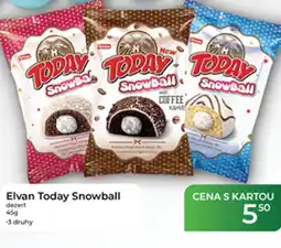 Tamda Foods Elvan Today Snowball nabídka