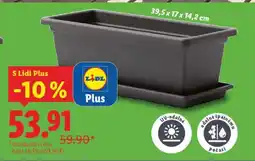 Lidl KVĚTINÁČ nabídka