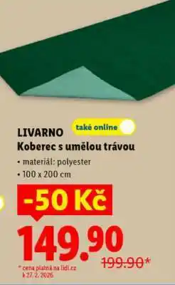 Lidl LIVARNO Koberec s umělou trávou nabídka