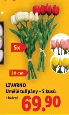 Lidl LIVARNO Umělé tulipány – 5 kusů nabídka