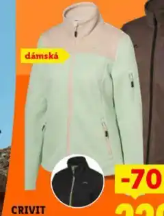 Lidl Dámská fleecová bunda nabídka