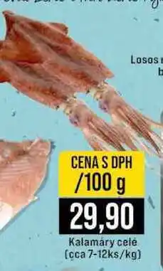 Jip Kalamáry celé cca 7-12ks nabídka