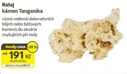 Super Zoo Rataj kámen Tanganika nabídka