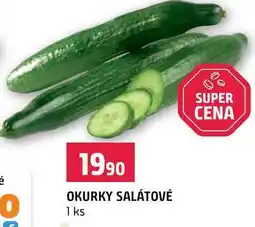 Terno OKURKY SALÁTOVÉ 1 ks nabídka
