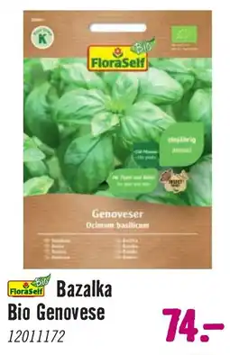 Hornbach FloraSelf Bazalka Bio Genovese nabídka