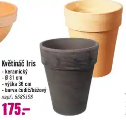 Hornbach Květináč Iris nabídka