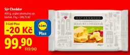 Lidl SÝR CHEDDAR nabídka