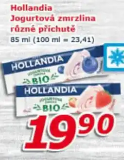 ESO MARKET Hollandia Jogurtová zmrzlina nabídka
