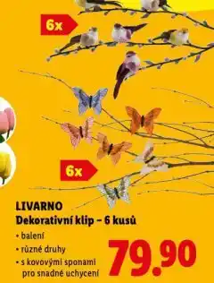 Lidl Dekorativní klip nabídka