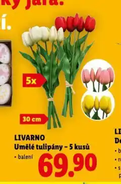 Lidl Umělé tulipány nabídka