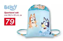 Kik Sportovní vak nabídka