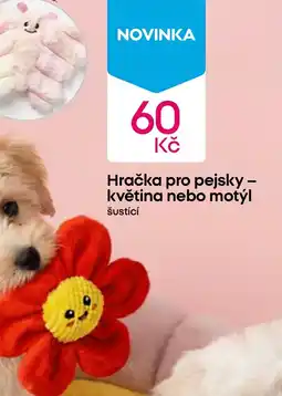 Pepco Hračka pro pejsky - květina nebo motýl nabídka