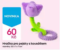 Pepco Hračka pro pejsky s kousátkem nabídka