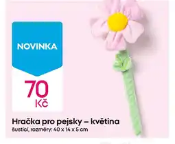 Pepco Hračka pro pejsky - květina nabídka