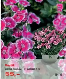 Uni Hobby Hvozdík nabídka