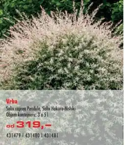 Uni Hobby Vrba nabídka