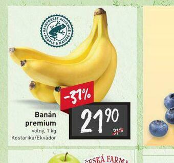 Billa Banány premium nabídka