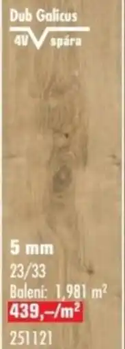 Uni Hobby Dub Galicus nabídka