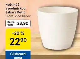 Tesco Květináč s podmiskou Sahara Petit nabídka