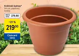 Tesco Květináč Sydney nabídka