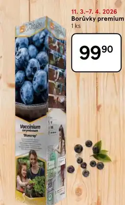 Tesco Borůvky premium nabídka