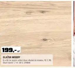 OBI Dlažba woody nabídka