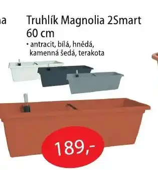 Truhlík Magnolia 2Smart
