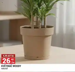 Merkury Market Květináč woody nabídka