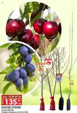 Merkury Market Ovocné stromy nabídka