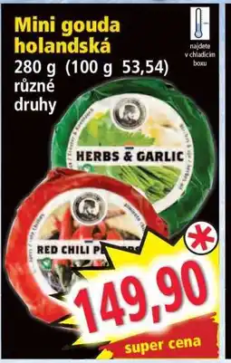 Norma Mini gouda holandská nabídka