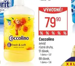 Globus Coccolino nabídka