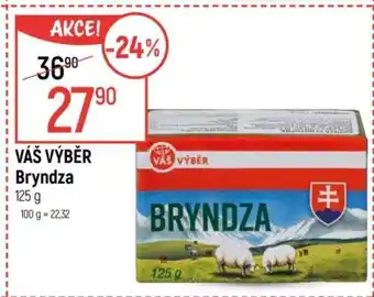Globus VÁŠ VÝBĚR Bryndza nabídka