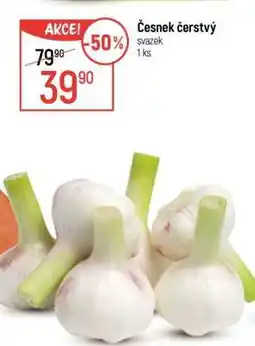 Globus Česnek čerstvý nabídka