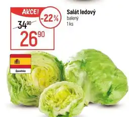 Globus Salát ledový nabídka