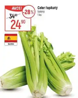 Globus Celer řapíkatý nabídka