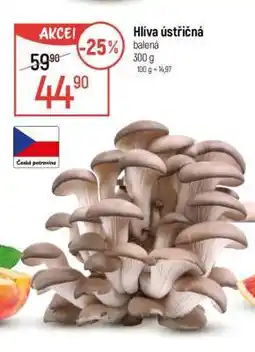 Globus Hlíva ústřičná nabídka