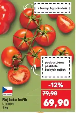 Kaufland Rajčata keřík nabídka