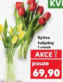 Kaufland Kytice tulipány nabídka