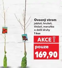 Kaufland Ovocný strom nabídka