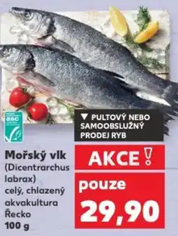 Kaufland Mořský vlk nabídka