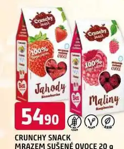 Trefa CRUNCHY SNACK MRAZEM SUŠENÉ OVOCE nabídka