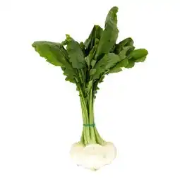 Penny Market Ředkev bílá kulatá svazek nabídka