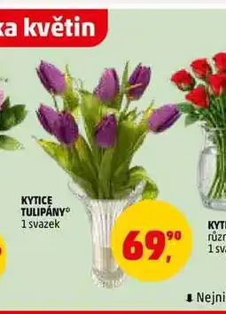 Penny Market KYTICE TULIPÁNY, 1 svazek nabídka